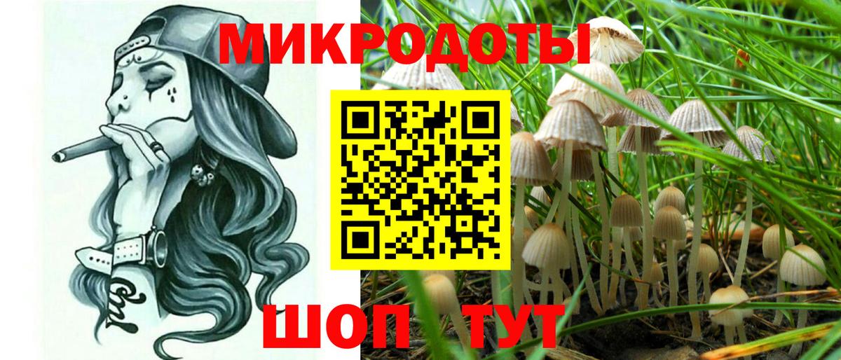 Рассказово  Псилоцибиновые грибы Psilocybe  Галлюциногенные грибы GOLDEN TEACHER  купить  сайты  Вход с VPN 