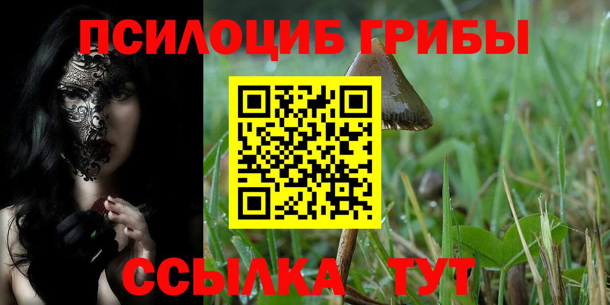 Псилоцибиновые грибы Magic Shrooms Рассказово